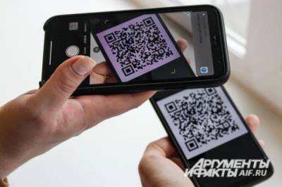 В Хабаровском крае введут систему QR-кодов - hab.aif.ru - Россия - Амурская обл. - Хабаровский край - Хабаровск