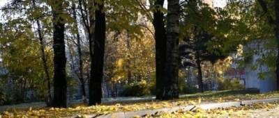 В Украину идут морозы: где похолодает сильнее всего - w-n.com.ua - Украина - Киев