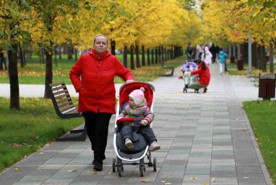 Евгений Федоров - В Думе предложили расширить право использования маткапитала для одиноких родителей - tvc.ru