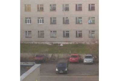 В Смоленской области из окна больницы выпала пожилая пациентка - rabochy-put.ru - Смоленская обл.