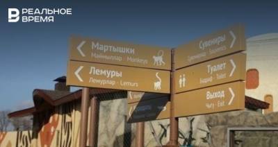 Илья Репин - Ветеринарный врач зооботсада в Казани рассказала, чем могло обернуться попадание мяча в вольер с гепардами - realnoevremya.ru - респ. Татарстан - Казань