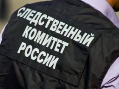 Дело о доведении до самоубийства завели в Новосибирске после гибели семиклассницы - sib.fm - Россия - Новосибирск - район Ленинский, Новосибирск