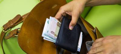 Житель Карелии прихватил в гостях женскую сумку с картой, купил алкоголь и потерял аксессуар - stolicaonego.ru - республика Карелия