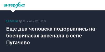 Еще два человека подорвались на боеприпасах арсенала в селе Пугачево - interfax.ru - Москва - Россия - респ. Удмуртия