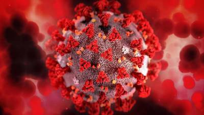 В России за последние сутки обнаружены 36 446 новых случаев коронавируса - vm.ru - Москва - Россия
