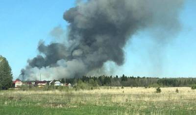 В Удмуртии человек погиб, подорвавшись на боеприпасах - newizv.ru - Россия - Башкирия - респ. Удмуртия