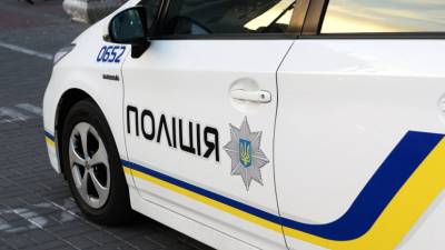 Неизвестные сбросили памятник Чапаеву на Украине - russian.rt.com - Украина - Киев - Полтавская обл.
