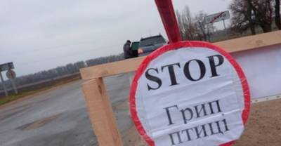 В Китае растет заболеваемость новым штаммом птичьего гриппа - kp.ua - Китай - Украина - Reuters