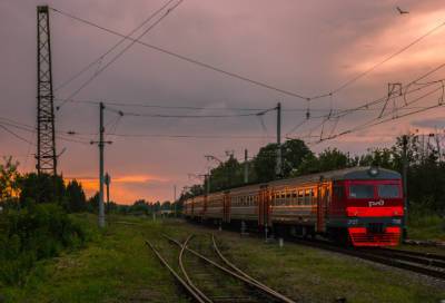 В Мурино пенсионер погиб под колесами электрички - online47.ru - Россия - Санкт-Петербург - окр.Сзфо