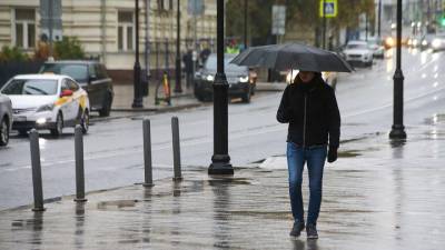 Татьяна Позднякова - Синоптик рассказала о погоде в Москве в начале ноября - vm.ru - Москва