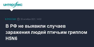 В РФ не выявили случаев заражения людей птичьим гриппом H5N6 - interfax.ru - Москва - Россия - Китай - Саратовская обл.