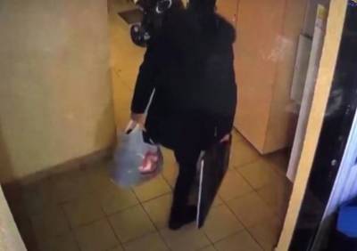 Кража двух телевизоров из квартиры в Рязани попала на видео - ya62.ru - Россия - Рязанская обл. - Рязань