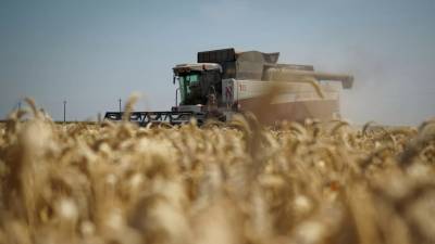 Сергей Воскресенский - Объём экспорта продукции АПК Подмосковья превысил $1 млрд в 2021 году - russian.rt.com - Россия - Московская обл.
