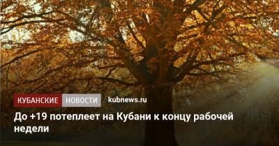 До +19 потеплеет на Кубани к концу рабочей недели - kubnews.ru - Краснодарский край - Новороссийск
