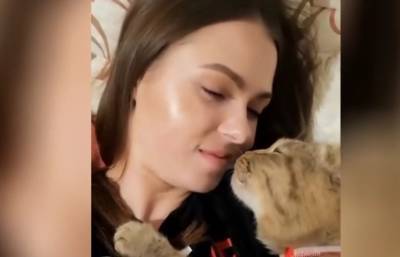 «Не останавливайся». Любящий поцелуи кот вместе со своей хозяйкой умилил соцсети (ВИДЕО) - ont.by - Белоруссия