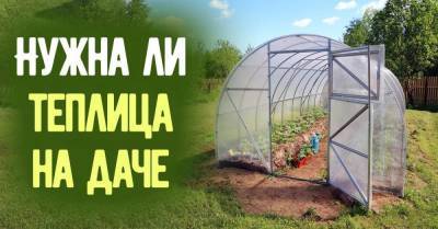 Снесли теплицу на даче и не жалеем, только лишняя морока была - skuke.net