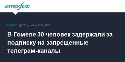 Виталий Пристромов - В Гомеле 30 человек задержали за подписку на запрещенные телеграм-каналы - interfax.ru - Москва - Белоруссия - Гомель