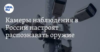 Наталья Касперская - Камеры наблюдения в России настроят распознавать оружие - ura.news - Россия