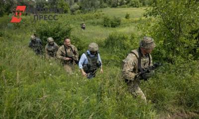 Наталья Никонорова - Вооруженные силы Украины вошли в село на линии разграничения - fedpress.ru - Украина - Киев - ДНР