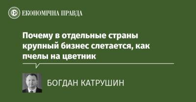 Ирландия - Почему в отдельные страны крупный бизнес слетается, как пчелы на цветник - epravda.com.ua - Украина - Швейцария - Голландия