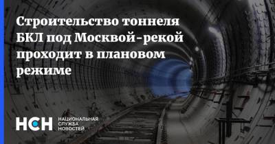 Юрий Кравцов - Строительство тоннеля БКЛ под Москвой-рекой проходит в плановом режиме - nsn.fm - Москва - Строительство
