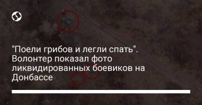 "Поели грибов и легли спать". Волонтер показал фото ликвидированных боевиков на Донбассе - liga.net - Россия - Украина
