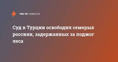 Иван Мельников - Суд в Турции освободил семерых россиян, задержанных за поджог леса - ren.tv - Турция
