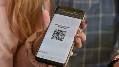 Владимир Владимиров - QR-коды для посещения общественных объектов вводят в Ставропольском крае - iz.ru - Израиль - Ставрополье