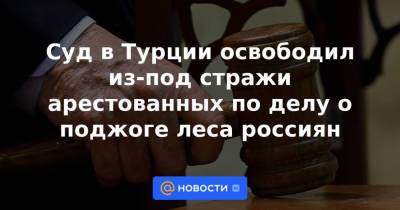 Суд в Турции освободил из-под стражи арестованных по делу о поджоге леса россиян - news.mail.ru - Россия - Турция