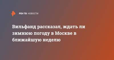 Роман Вильфанд - Вильфанд рассказал, ждать ли зимнюю погоду в Москве в ближайшую неделю - ren.tv - Москва - Россия