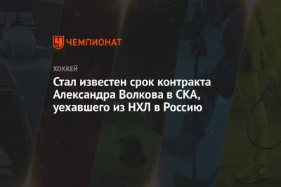 Александр Волков - Стал известен срок контракта Александра Волкова в СКА, уехавшего из НХЛ в Россию - championat.com - Россия