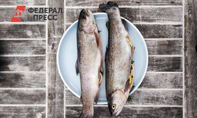 Первая партия ямальской форели поступит в магазины в декабре - fedpress.ru - Салехард