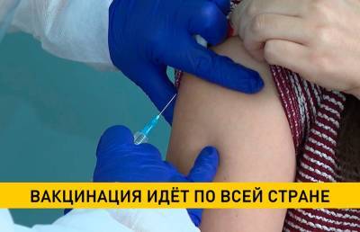 COVID-19: в Беларуси продолжается прививочная кампания - ont.by - Белоруссия - Минск