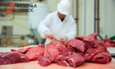 Александр Мясников - Развеян миф о красном мясе - fedpress.ru - Москва - Россия