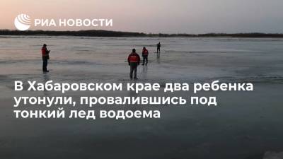 В Хабаровском крае два малолетних брата утонули, провалившись под тонкий лед водоема - ria.ru - Хабаровский край - Хабаровск - район Солнечный - Амурск