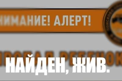 Костромские спасатели искали одного мальчика, а наши двух - kostroma.mk.ru - Кострома
