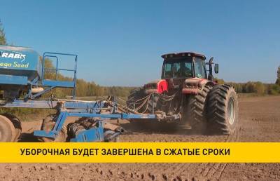Александр Лукашенко - Лукашенко потребовал завершить уборочную в сжатые сроки - ont.by - Белоруссия