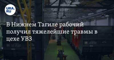 В Нижнем Тагиле рабочий получил тяжелейшие травмы в цехе УВЗ - ura.news - Свердловская обл.