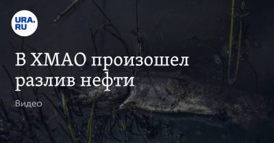 В ХМАО произошел разлив нефти. Видео - ura.news - Югра