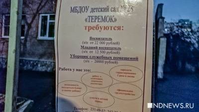 «Зарплата ниже, чем у уборщицы»: кадровый голод в детсадах пока устранить не удается - newdaynews.ru - Екатеринбург
