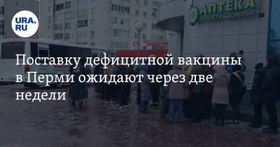 Евгений Камкин - Поставку дефицитной вакцины в Перми ожидают через две недели - ura.news - Пермь - Пермский край