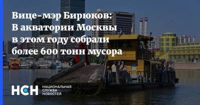 Петр Бирюков - Вице-мэр Бирюков: В акватории Москвы в этом году собрали более 600 тонн мусора - nsn.fm - Москва - Экология