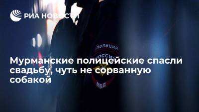 Мурманские полицейские спасли свадьбу, быстро восстановив съеденный псом паспорт невесты - ria.ru - Мурманск - Мурманская обл.