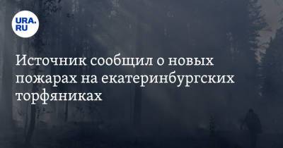 Источник сообщил о новых пожарах на екатеринбургских торфяниках. МЧС считало, что они потушены - ura.news - Екатеринбург - Свердловская обл.