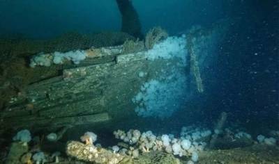 Найдены невероятные останки легендарного охотничьего корабля нацистов (Фото) - lenta.ua - США - Украина - Германия - Канада - Шотландия - Гренландия