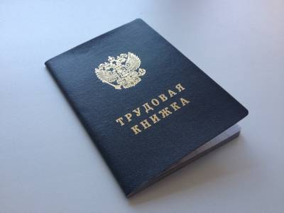 С 2023 года будут использоваться новые трудовые книжки - afanasy.biz - Россия