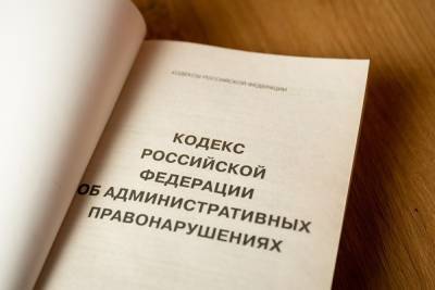 В Думе определили сроки арестов за отождествление роли СССР и нацистской Германии - znak.com - Германия