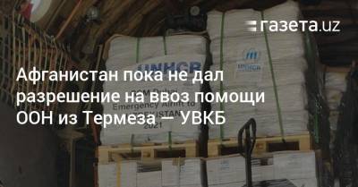 Афганистан пока не дал разрешение на ввоз помощи ООН из Термеза — УВКБ - gazeta.uz - Узбекистан - Афганистан