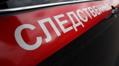 Упавшее дерево насмерть задавило младенца в коляске в Московской области - iz.ru - Москва - Израиль - Московская обл.