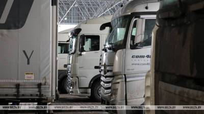 Минтранс: экспорт услуг грузового автотранспорта за январь-август вырос почти на 27% - belta.by - Белоруссия - Минск